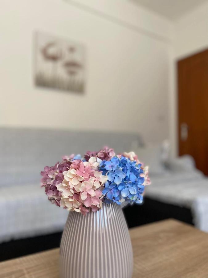 Chrisa'S Guest House Σκάλα Ποταμιάς Εξωτερικό φωτογραφία